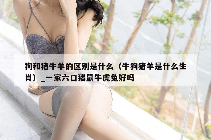 狗和猪牛羊的区别是什么(牛狗猪羊是什么生肖)_新澳门六开彩资料大全网址